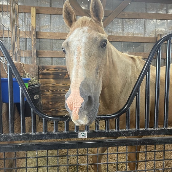 Meet your Posher, Donna - Picture 16 of 16